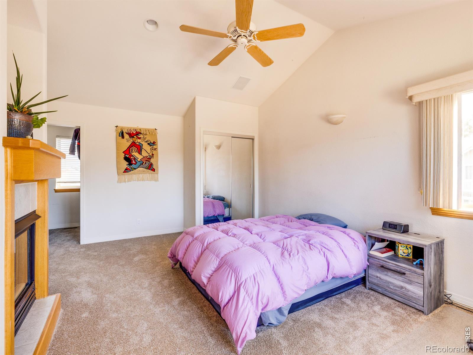 MLS Image #15 for 927  hover ridge circle,longmont, Colorado