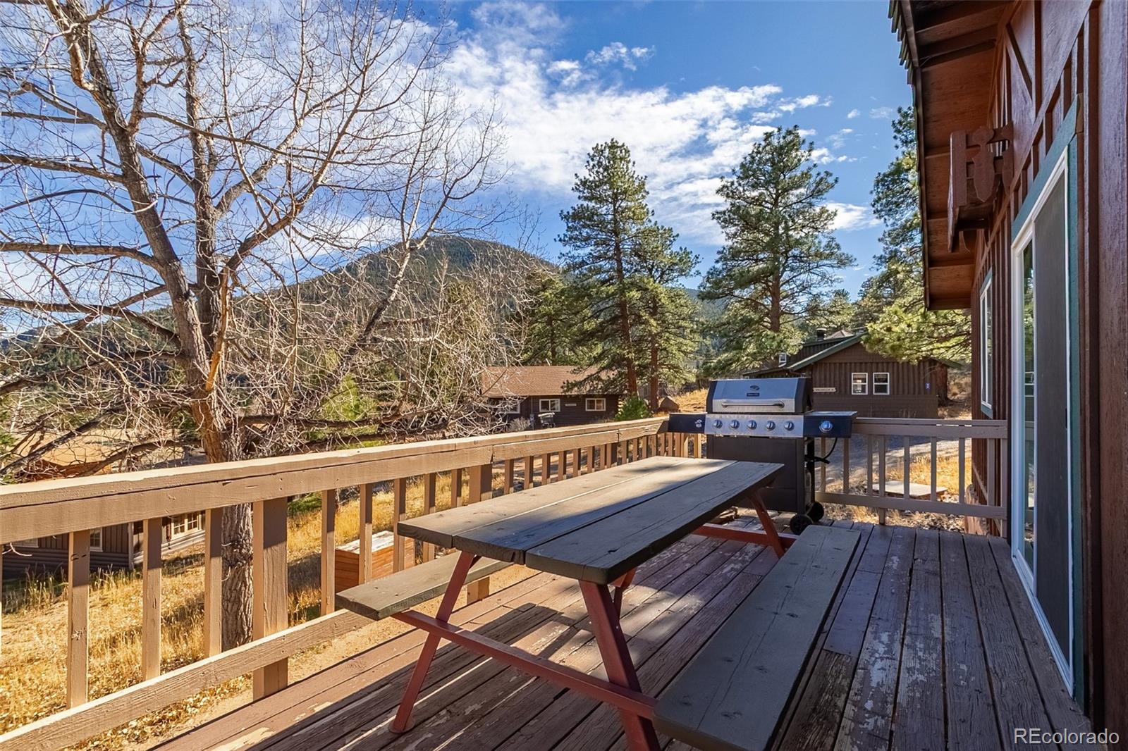 MLS Image #4 for 27  freyja lane,estes park, Colorado