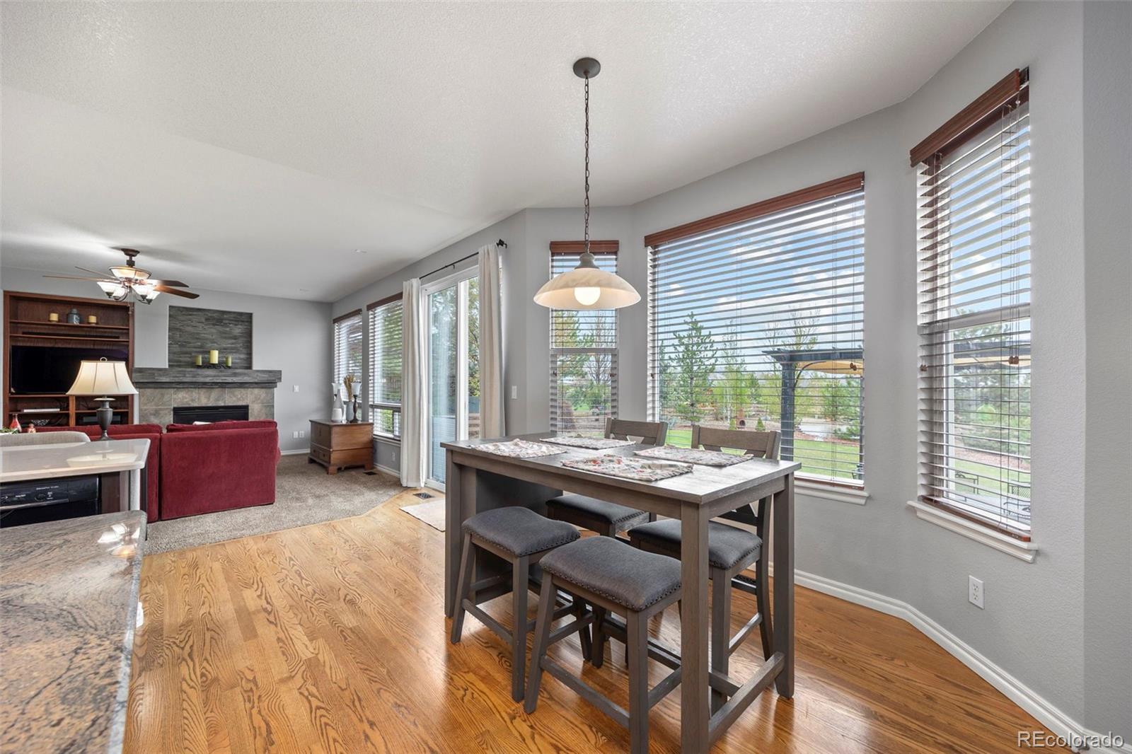 MLS Image #11 for 5791  chisholm place,parker, Colorado