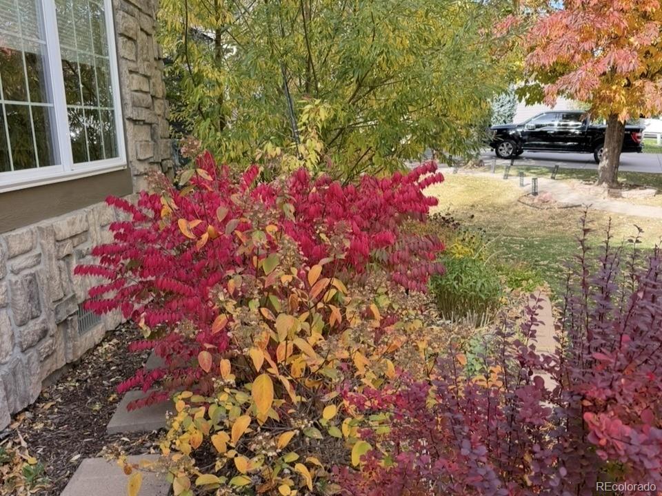 MLS Image #4 for 2480 w jamison way,littleton, Colorado