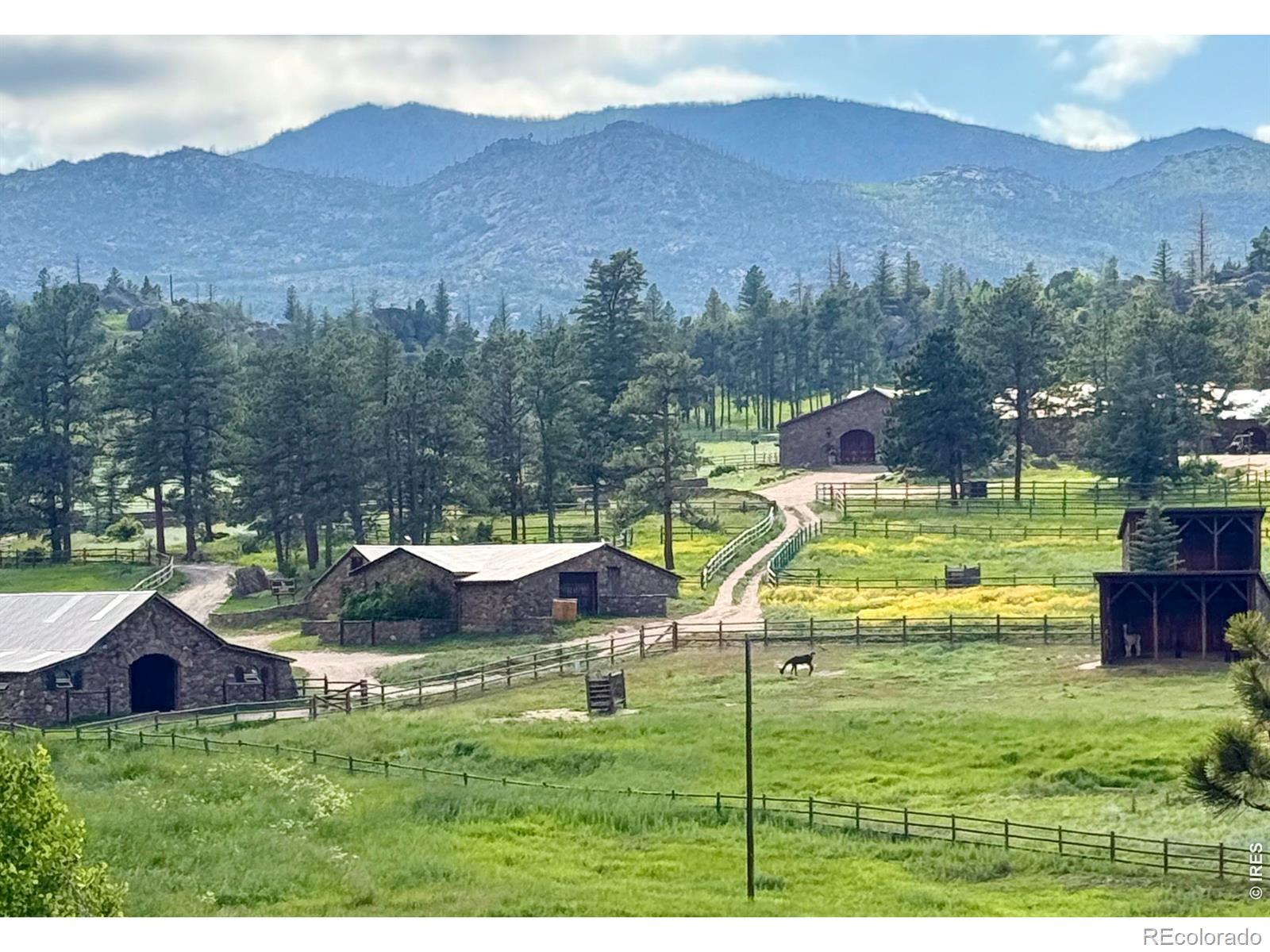 MLS Image #3 for 9200  old flowers road,bellvue, Colorado