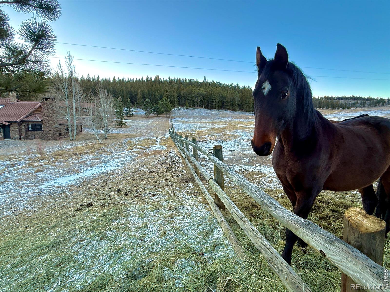 MLS Image #48 for 9200  old flowers road,bellvue, Colorado