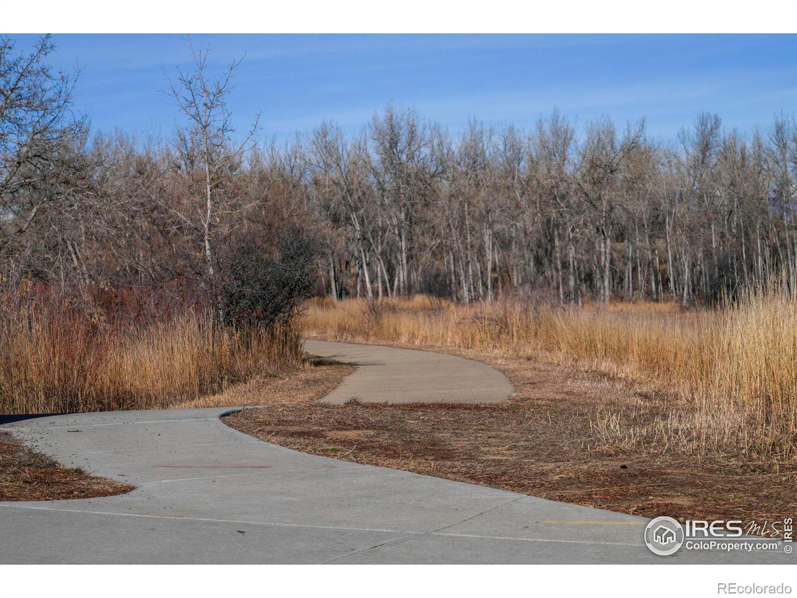 MLS Image #30 for 1915  centennial drive,louisville, Colorado