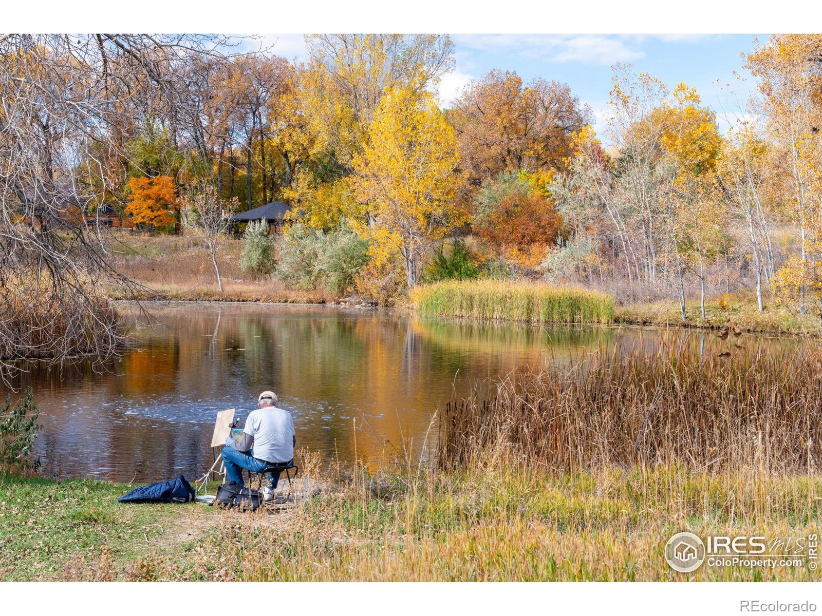 MLS Image #33 for 1915  centennial drive,louisville, Colorado