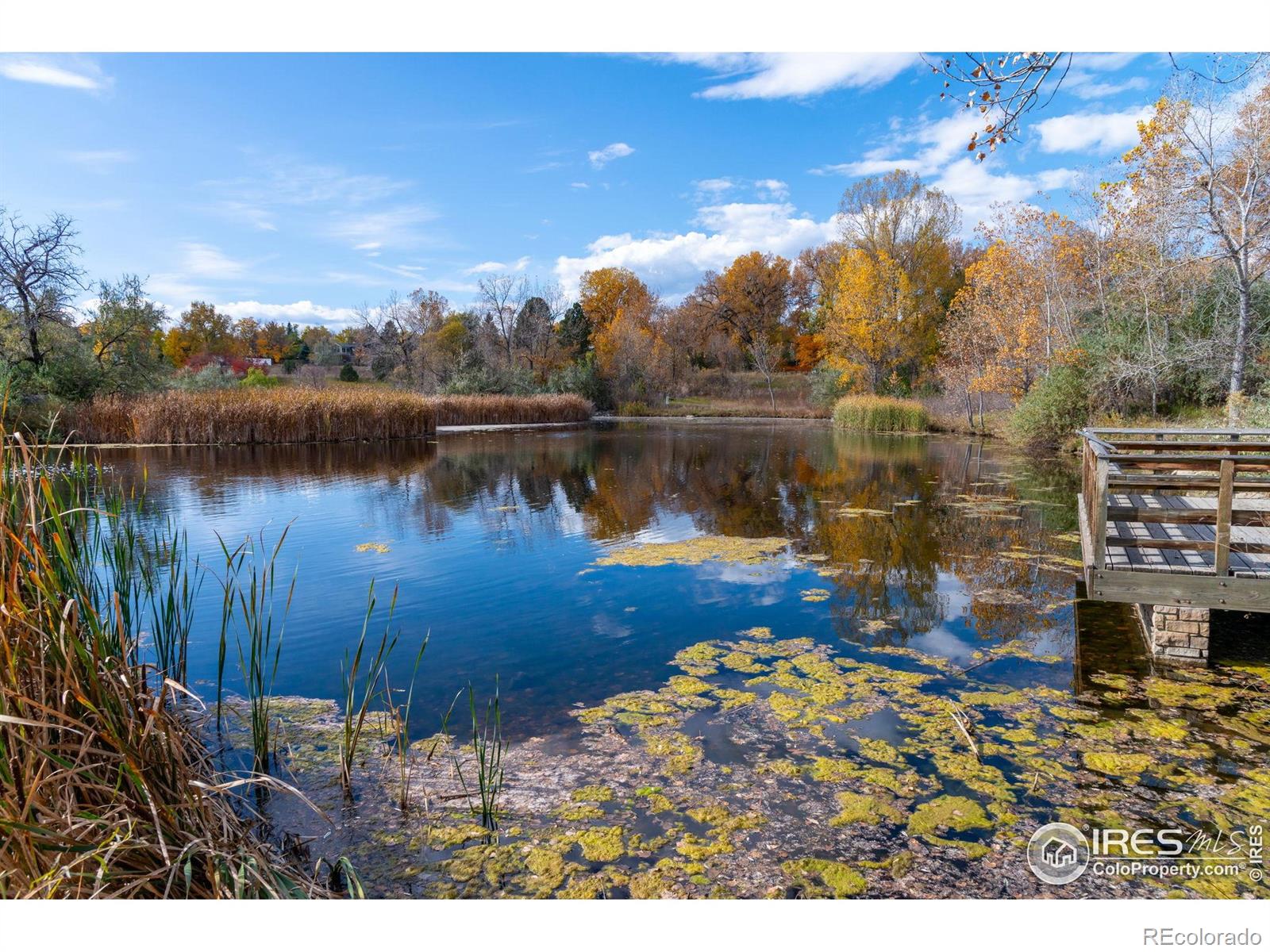 MLS Image #34 for 1915  centennial drive,louisville, Colorado