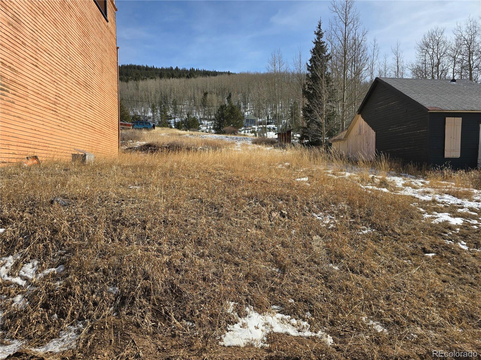 MLS Image #4 for 906  victor avenue,goldfield, Colorado