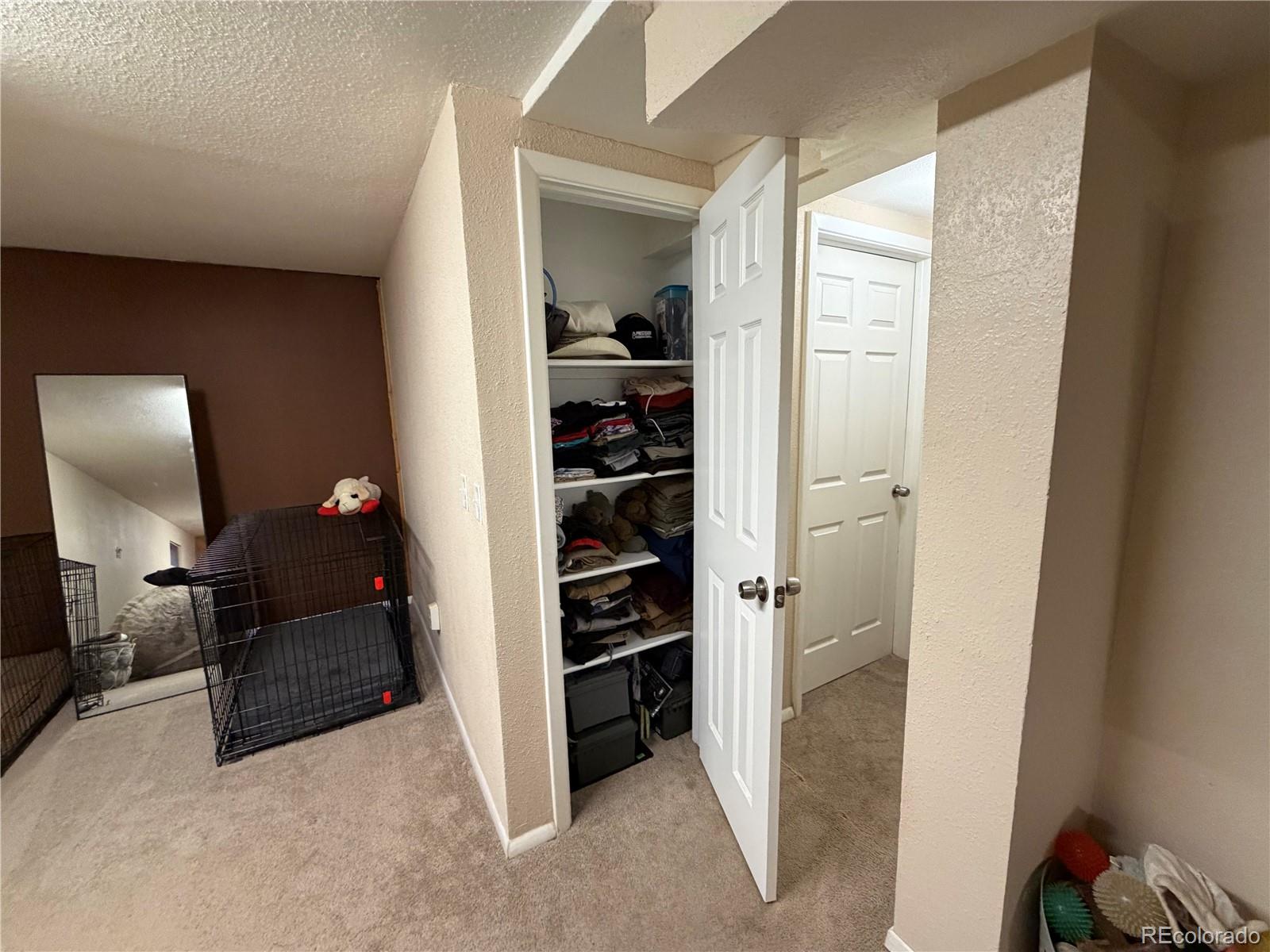 MLS Image #27 for 17042 e wagon trail parkway,aurora, Colorado