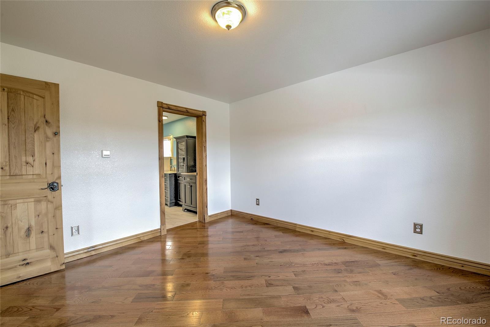 MLS Image #14 for 1140  meadow drive,fairplay, Colorado