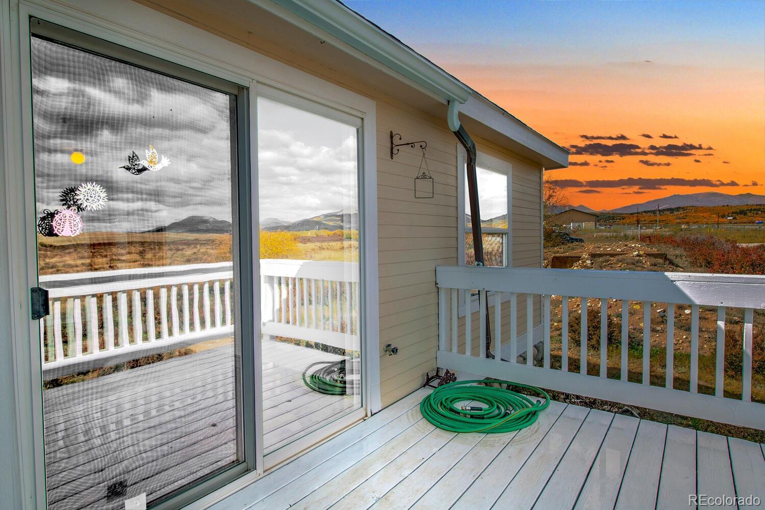 MLS Image #4 for 1140  meadow drive,fairplay, Colorado