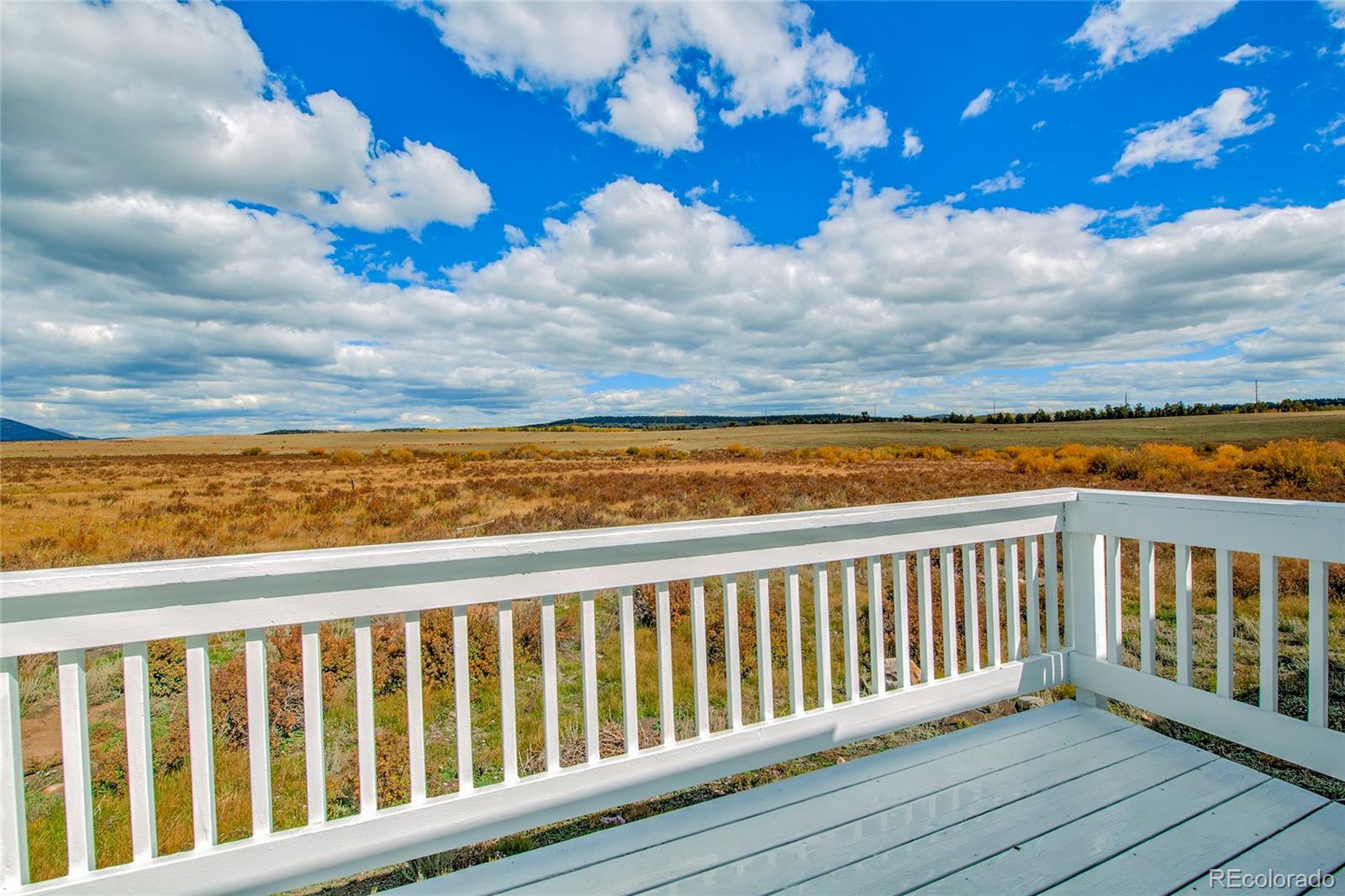 MLS Image #42 for 1140  meadow drive,fairplay, Colorado