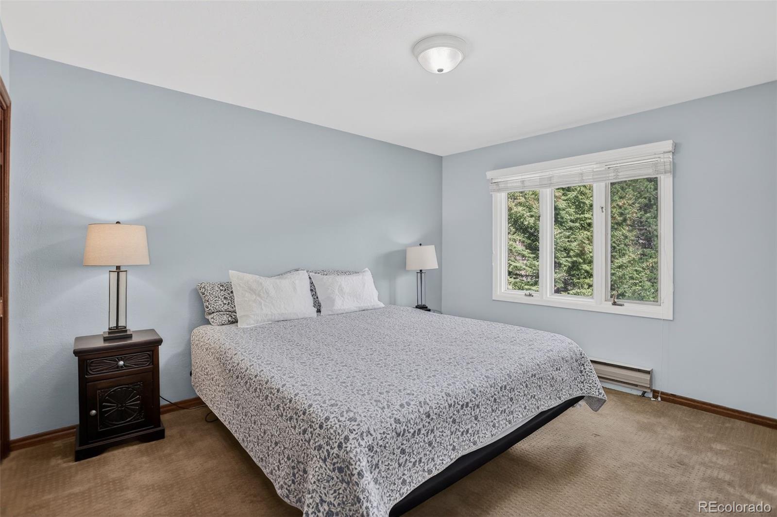 MLS Image #19 for 12699 s foxton road,conifer, Colorado