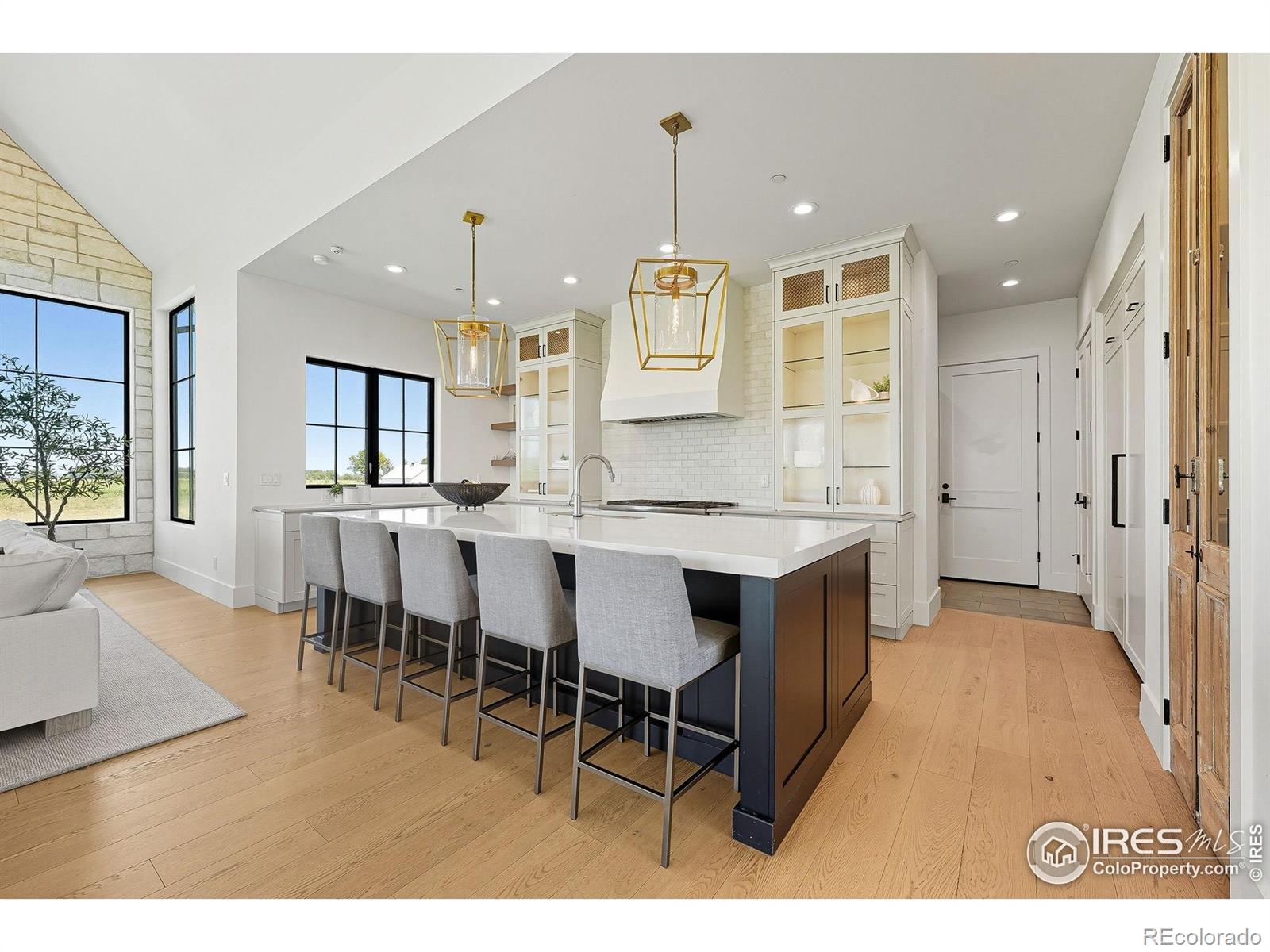 MLS Image #13 for 10323  mineral road,longmont, Colorado