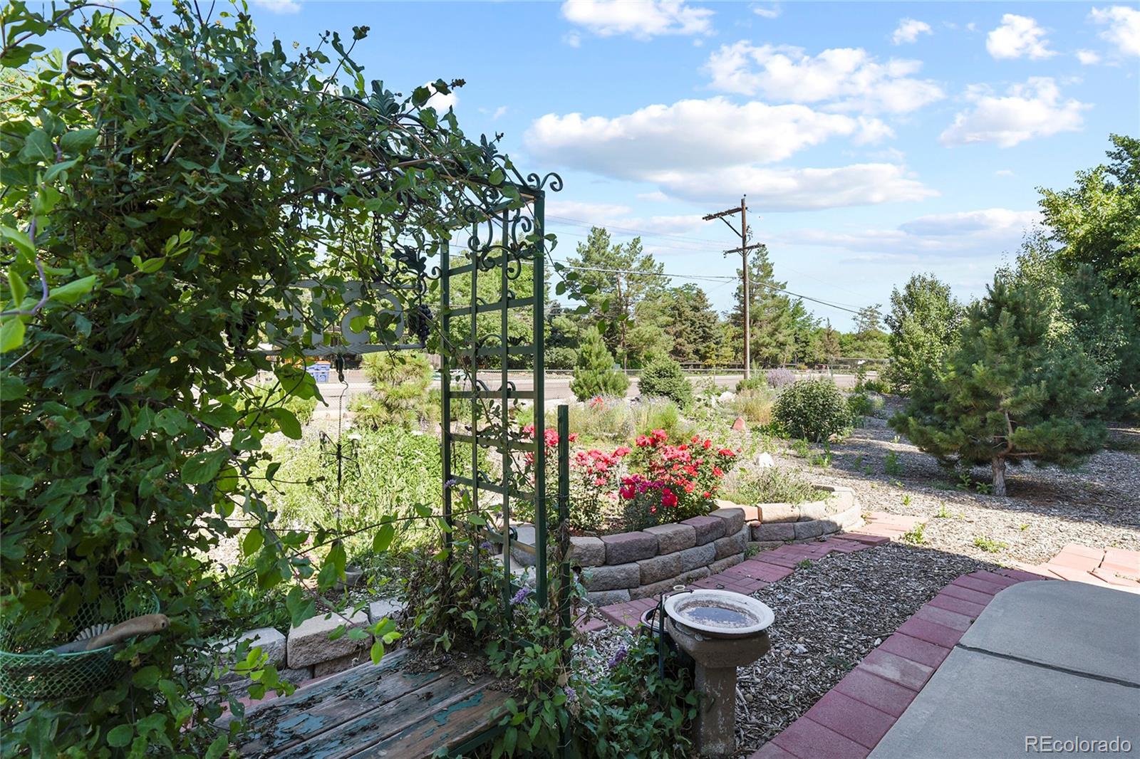 MLS Image #2 for 6316  tennyson street,arvada, Colorado