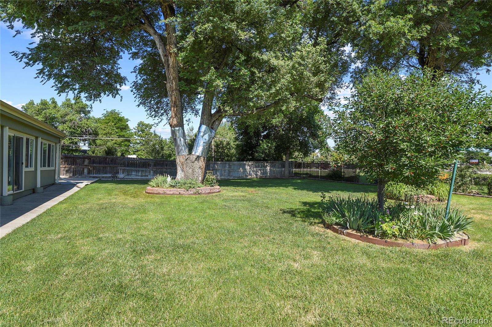 MLS Image #27 for 6316  tennyson street,arvada, Colorado