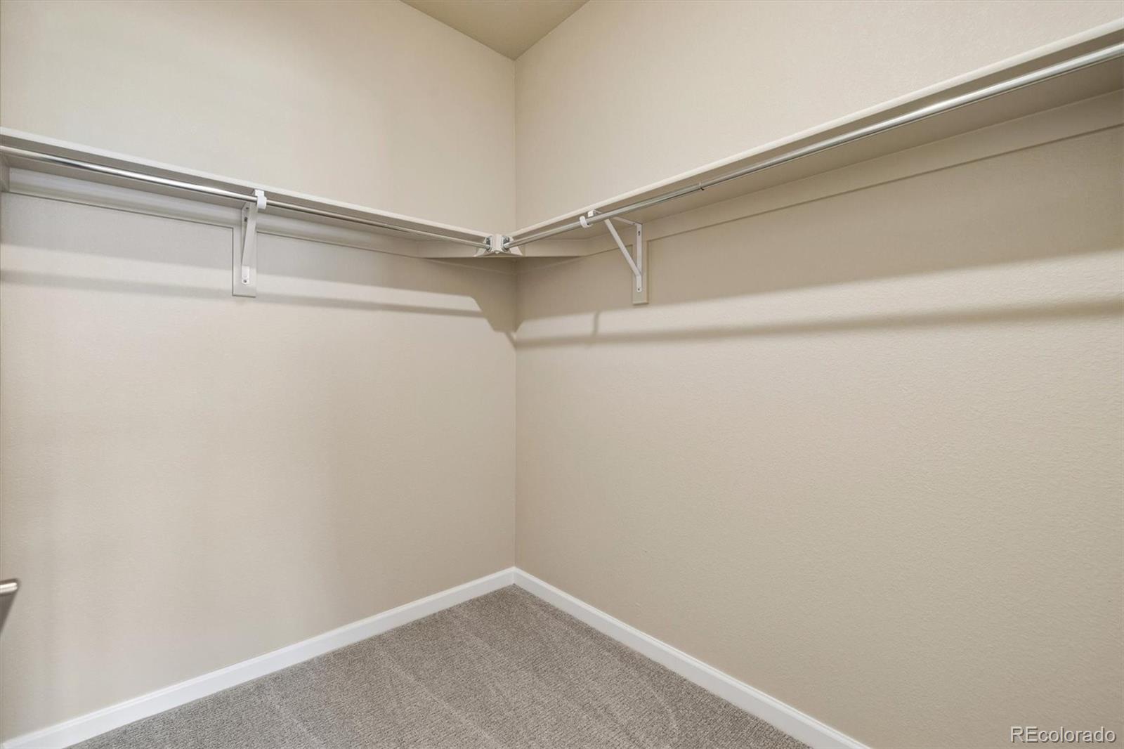 MLS Image #8 for 6710  merseyside lane,castle pines, Colorado