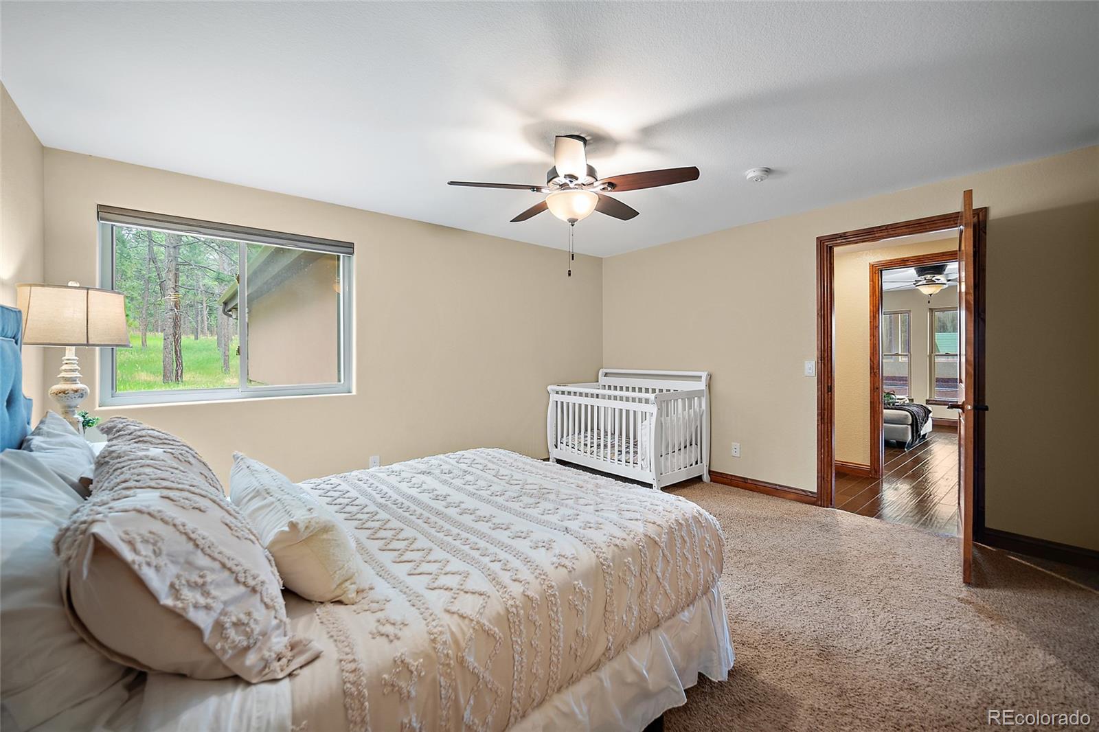MLS Image #17 for 4225  walker vista heights,colorado springs, Colorado