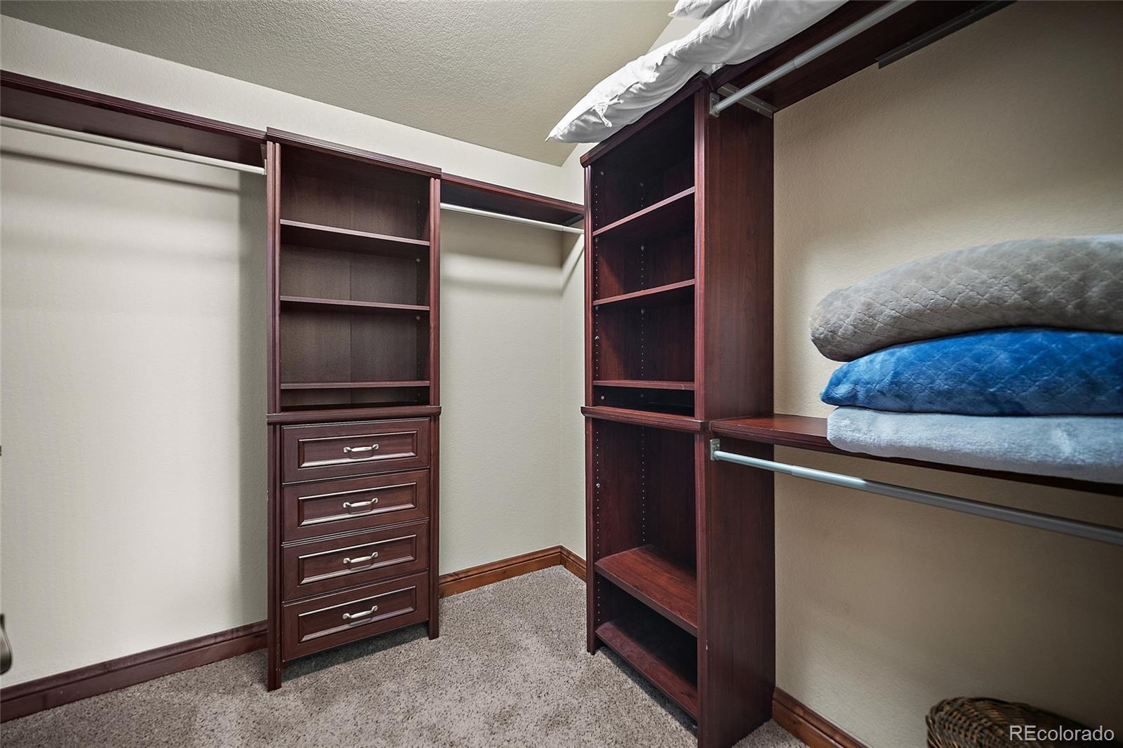 MLS Image #23 for 4225  walker vista heights,colorado springs, Colorado