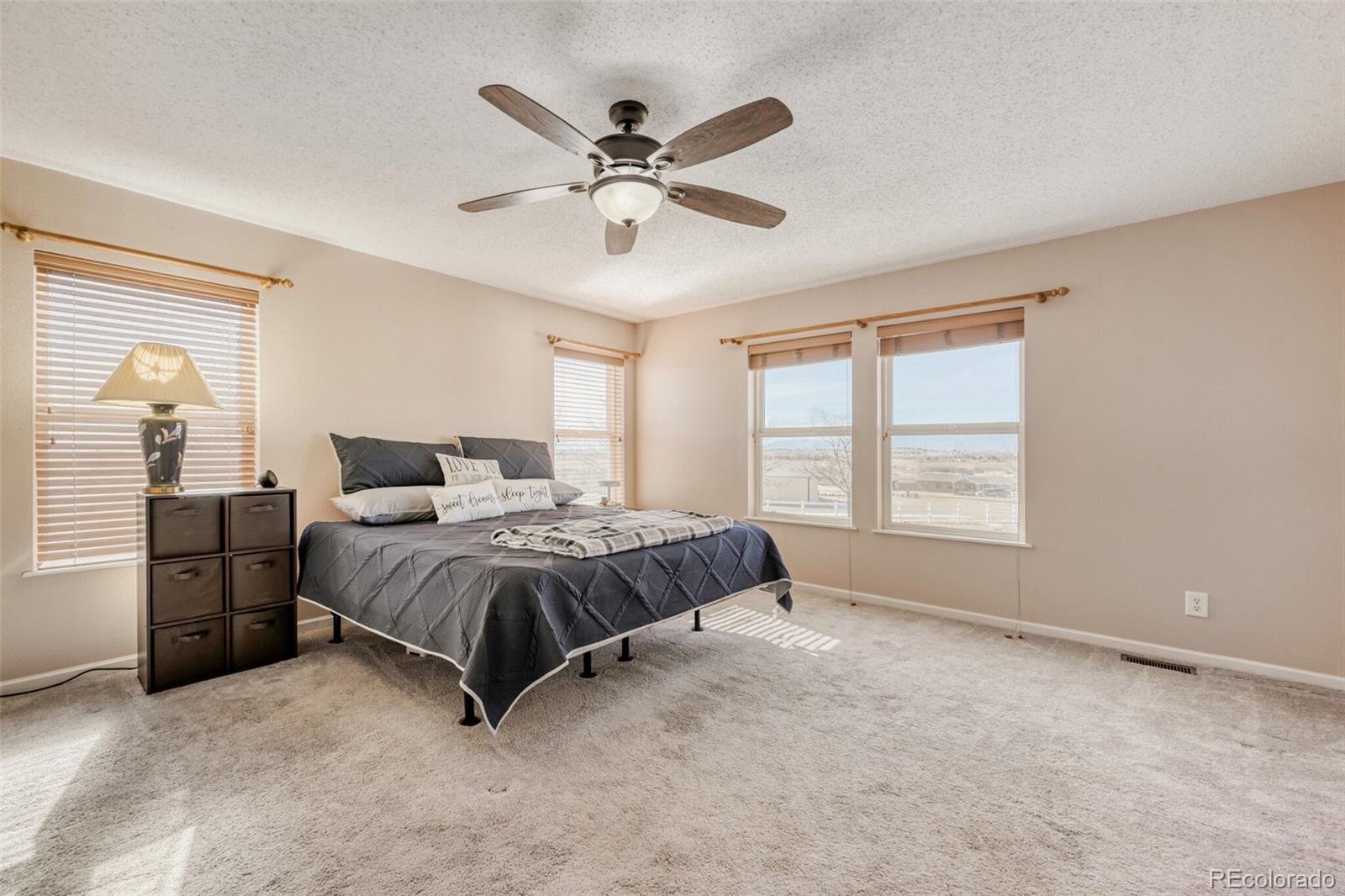 MLS Image #12 for 7055  buckboard drive,peyton, Colorado