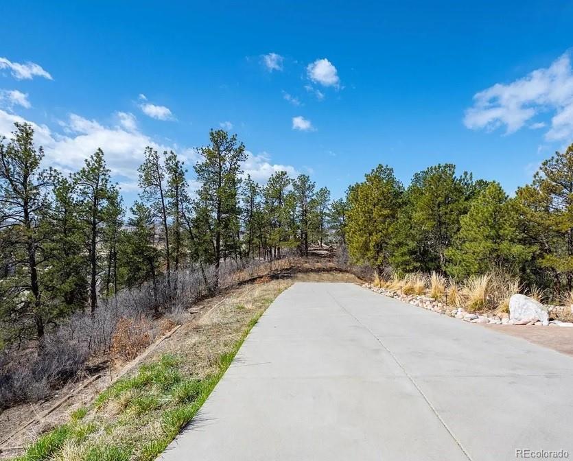 MLS Image #10 for 655  ruby trust drive,castle rock, Colorado