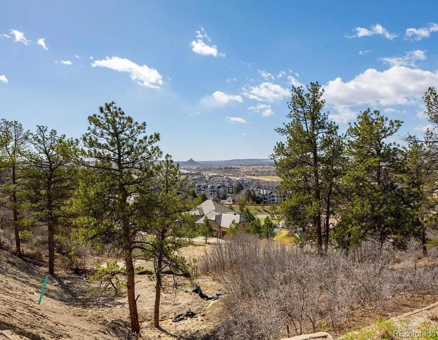 MLS Image #11 for 655  ruby trust drive,castle rock, Colorado