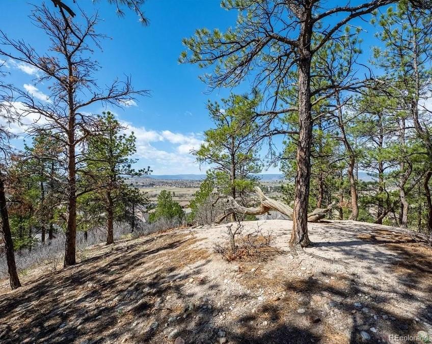 MLS Image #13 for 655  ruby trust drive,castle rock, Colorado