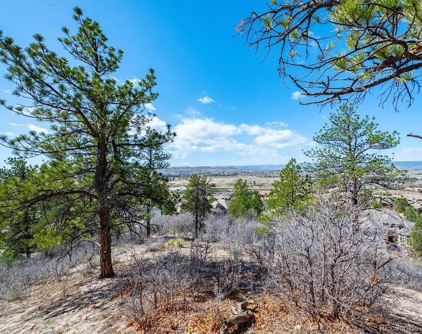 MLS Image #14 for 655  ruby trust drive,castle rock, Colorado