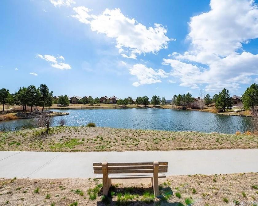 MLS Image #17 for 655  ruby trust drive,castle rock, Colorado