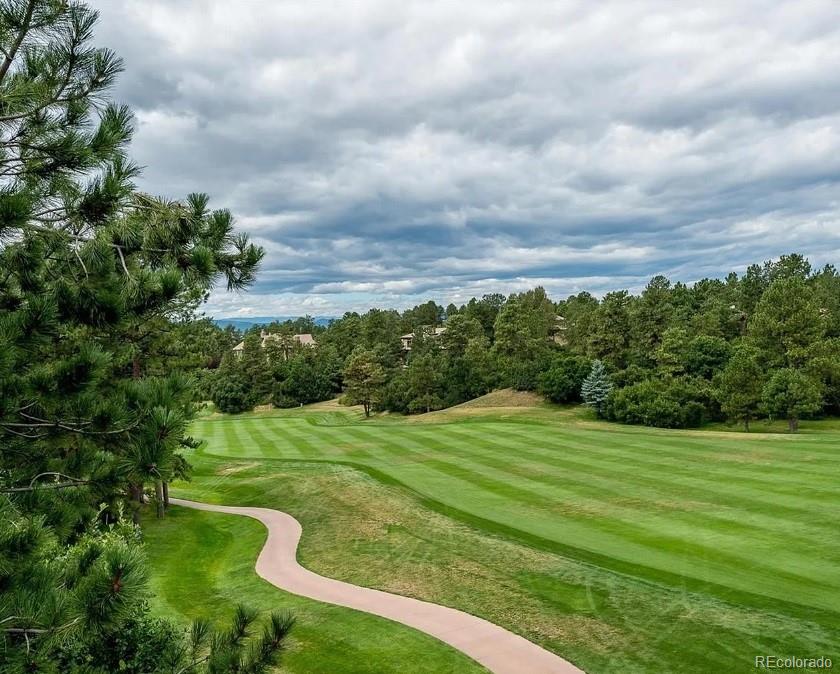 MLS Image #20 for 655  ruby trust drive,castle rock, Colorado