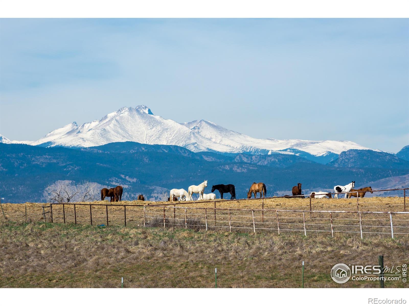 MLS Image #44 for 8576  niwot meadow farm road,niwot, Colorado