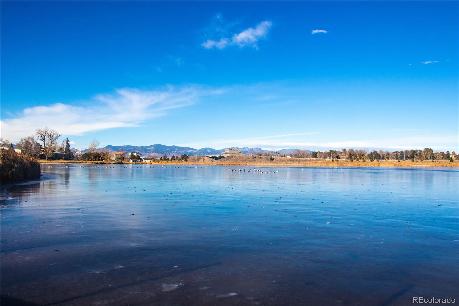 MLS Image #29 for 5516  clay court,denver, Colorado