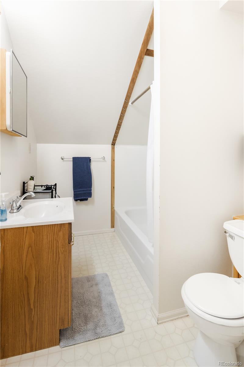 MLS Image #21 for 217 e 8th street,leadville, Colorado