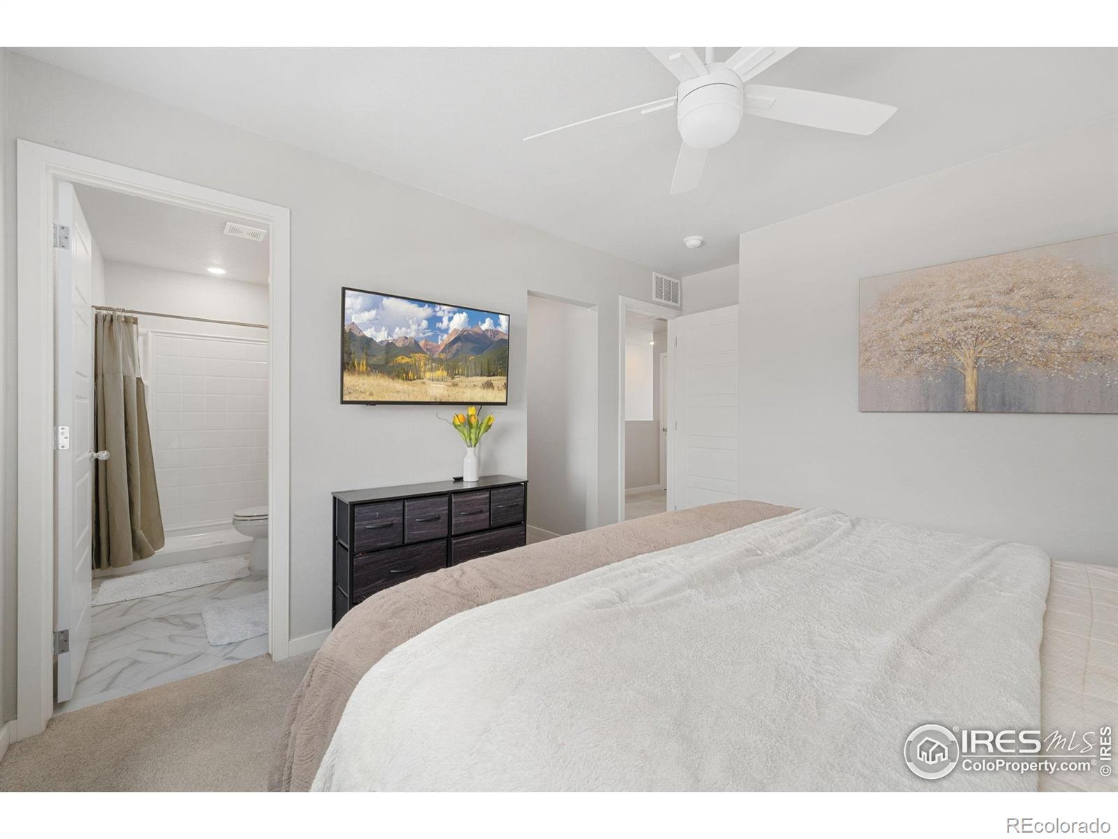 MLS Image #23 for 229  molinar street,johnstown, Colorado