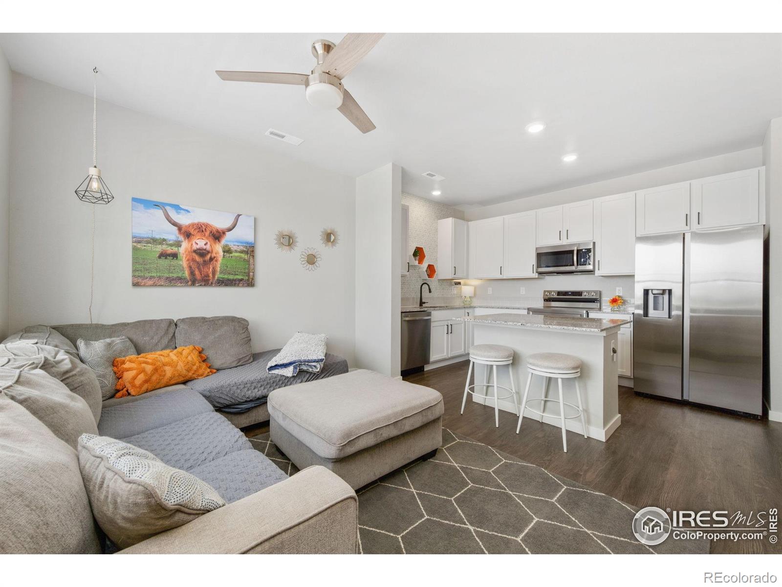 MLS Image #4 for 229  molinar street,johnstown, Colorado
