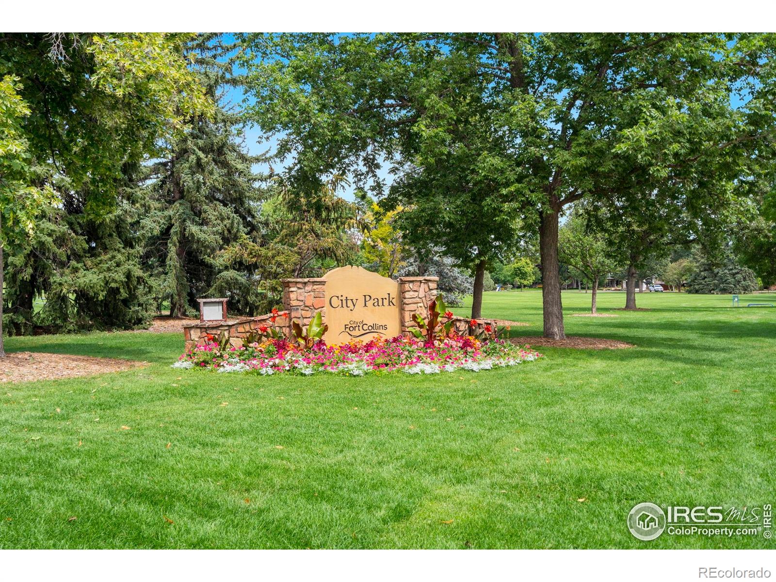 MLS Image #39 for 149  sylvan court,fort collins, Colorado