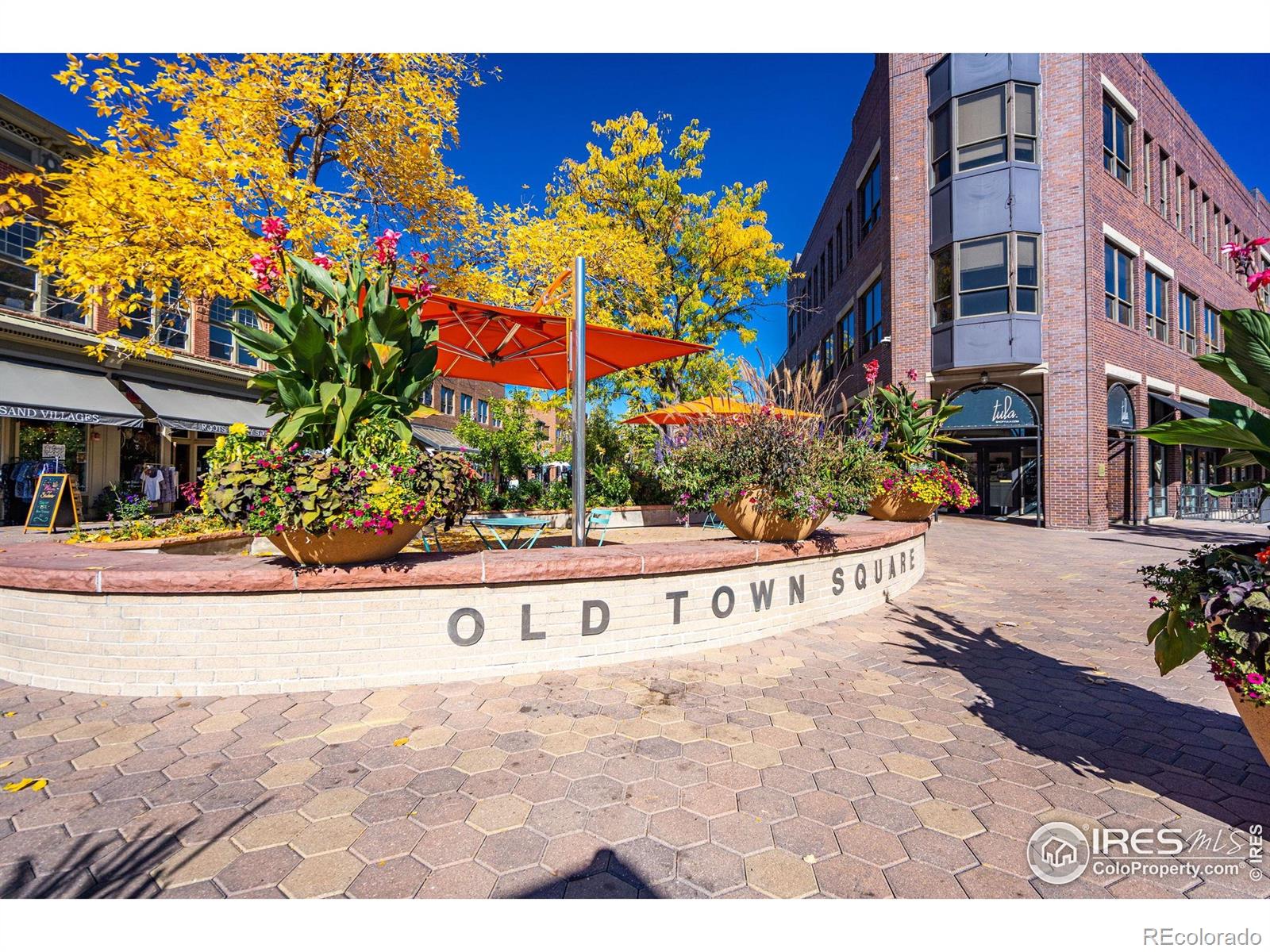 MLS Image #42 for 149  sylvan court,fort collins, Colorado