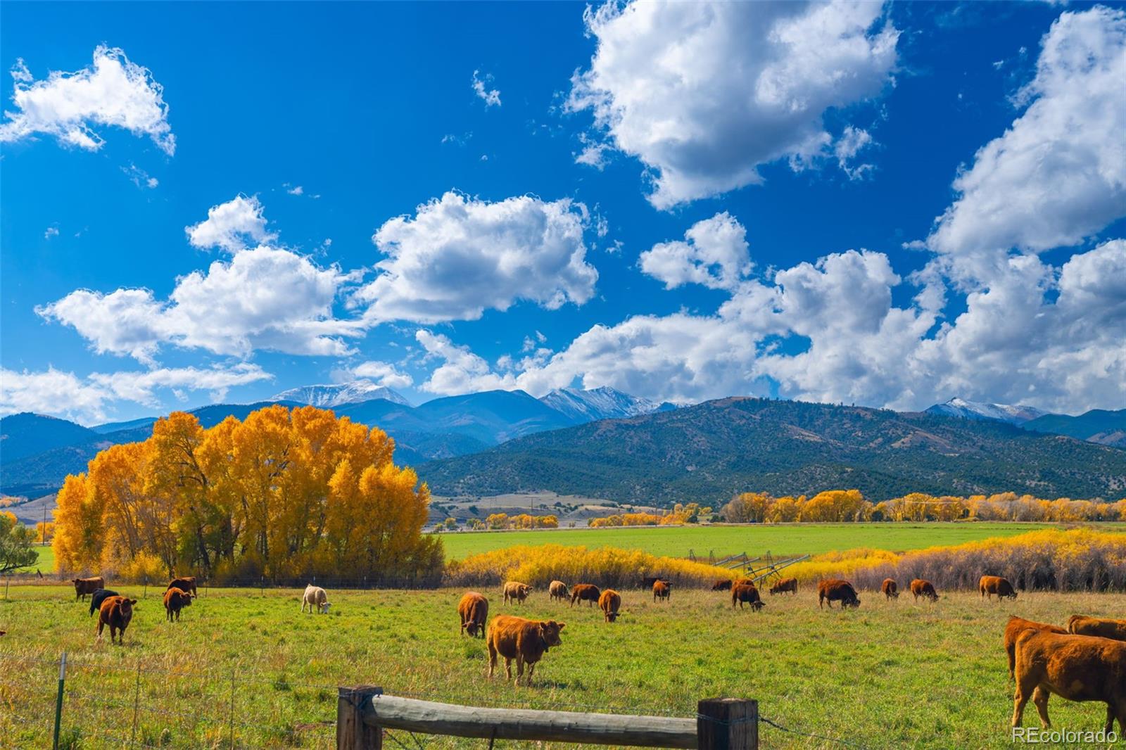 MLS Image #41 for 12501  country meadow lane,salida, Colorado
