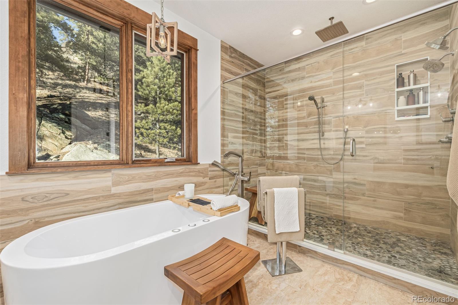 MLS Image #16 for 663  brookside drive,bailey, Colorado