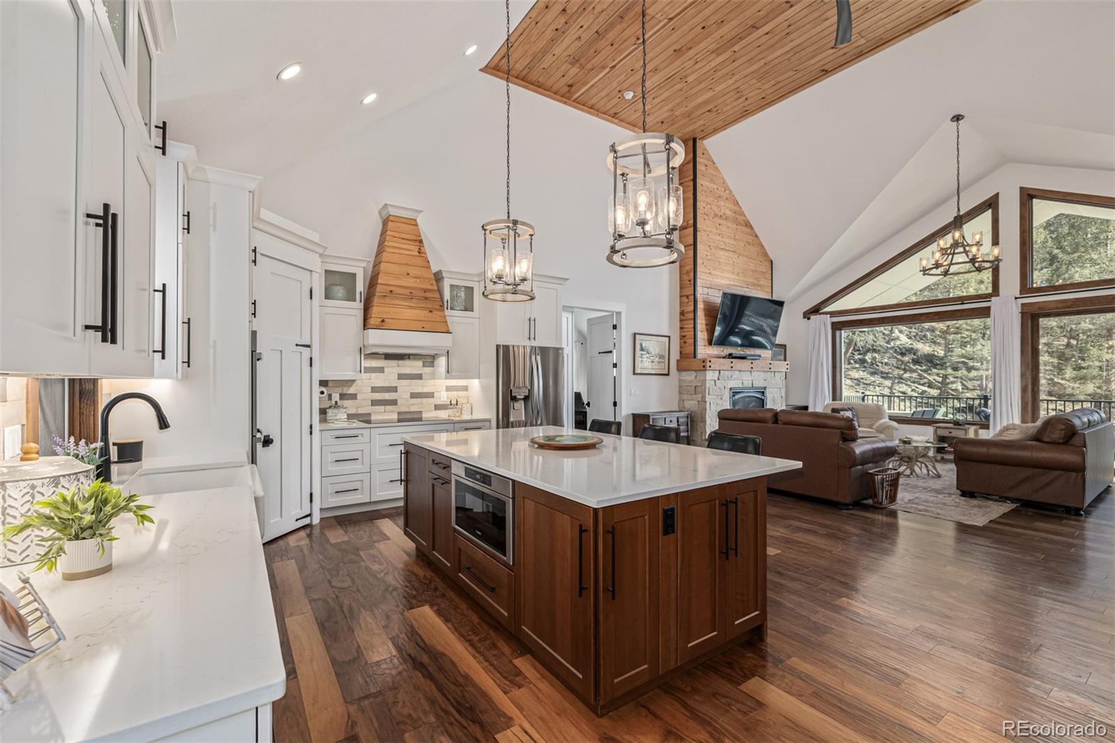MLS Image #9 for 663  brookside drive,bailey, Colorado