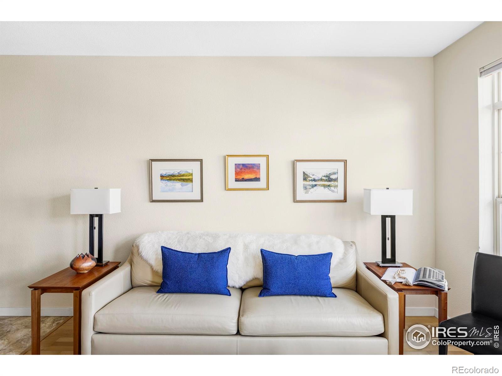 MLS Image #11 for 13456  via varra  ,broomfield, Colorado