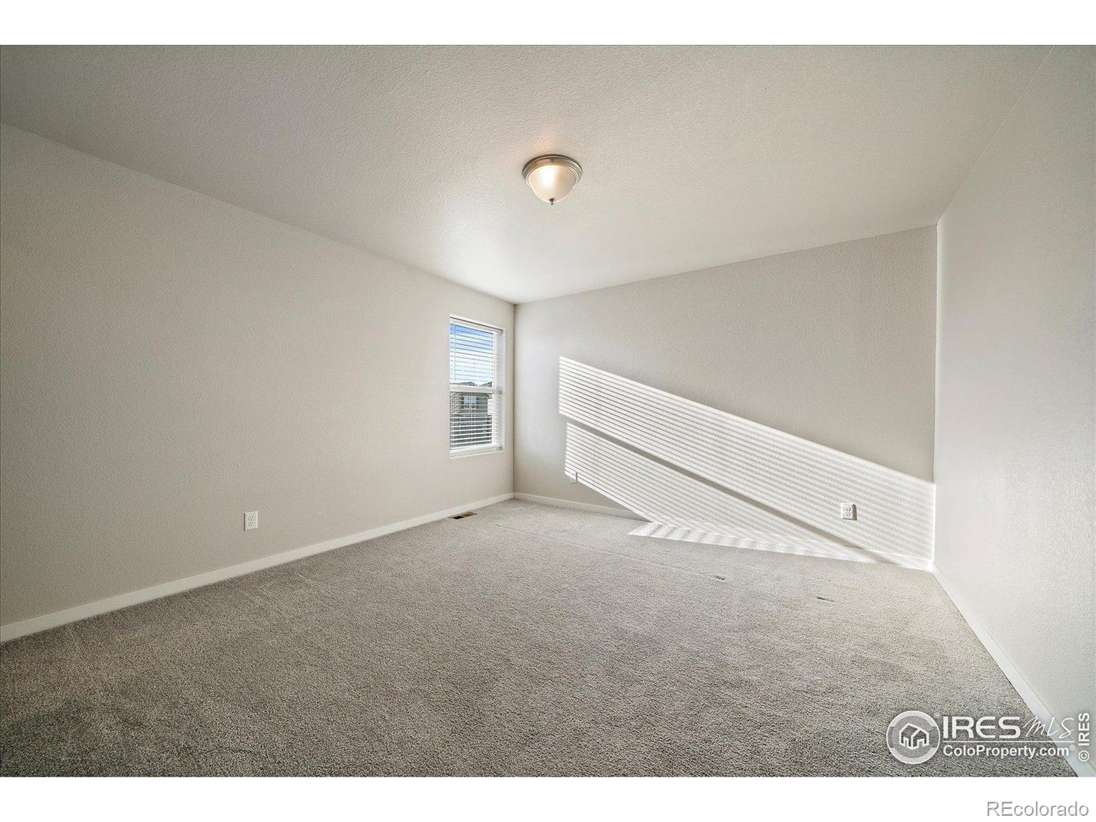MLS Image #19 for 118  chipeta way,lochbuie, Colorado