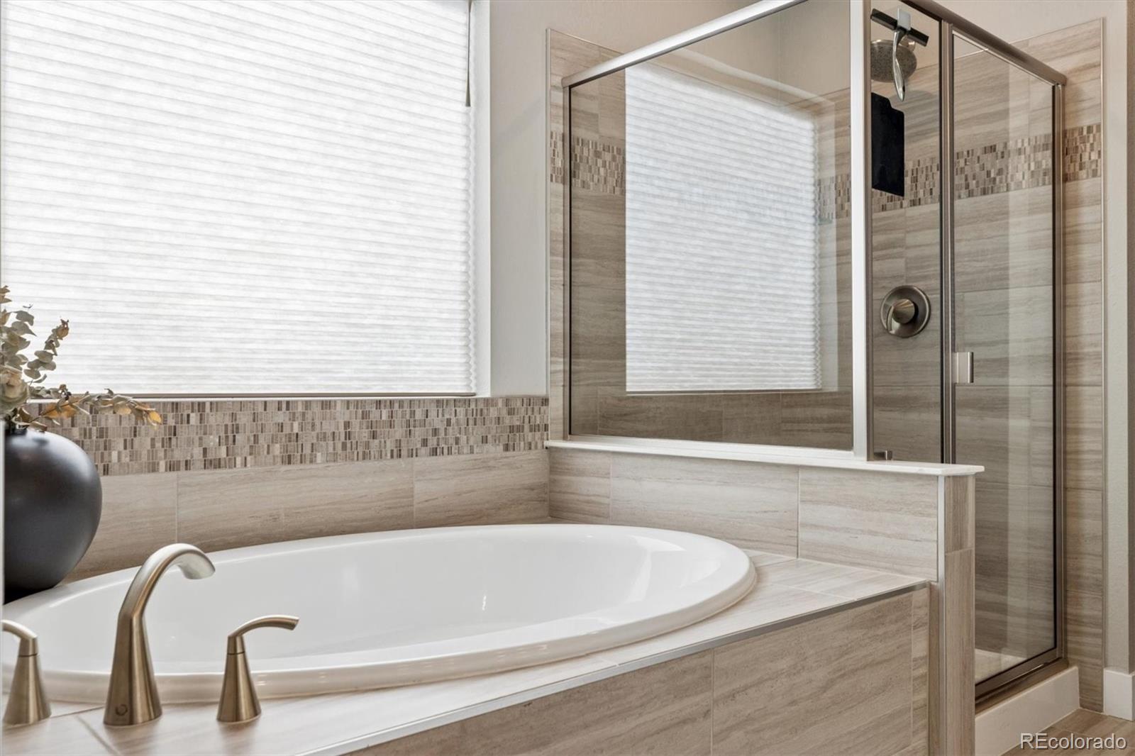 MLS Image #15 for 9750  banner peak street,littleton, Colorado