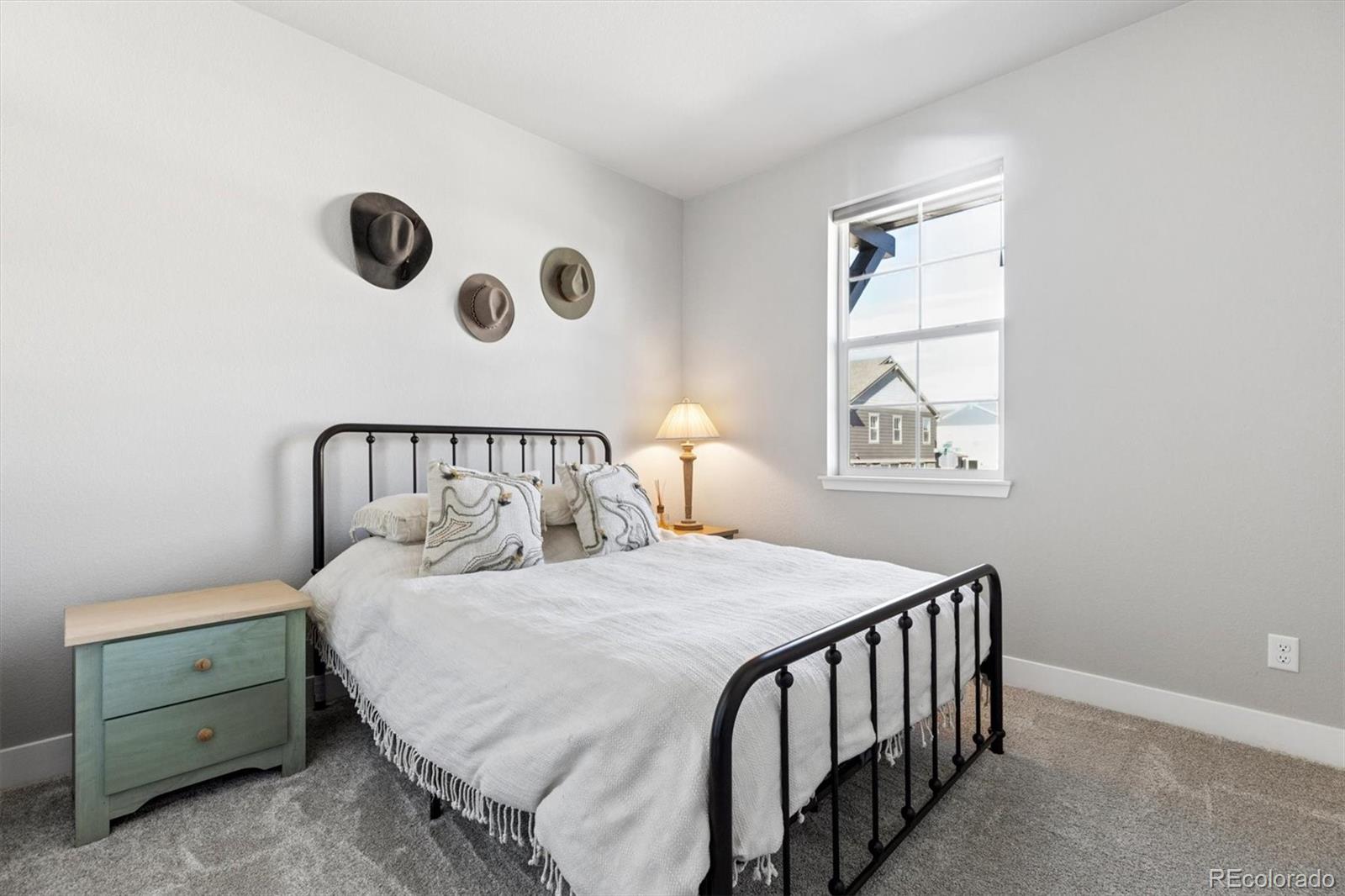 MLS Image #16 for 9750  banner peak street,littleton, Colorado