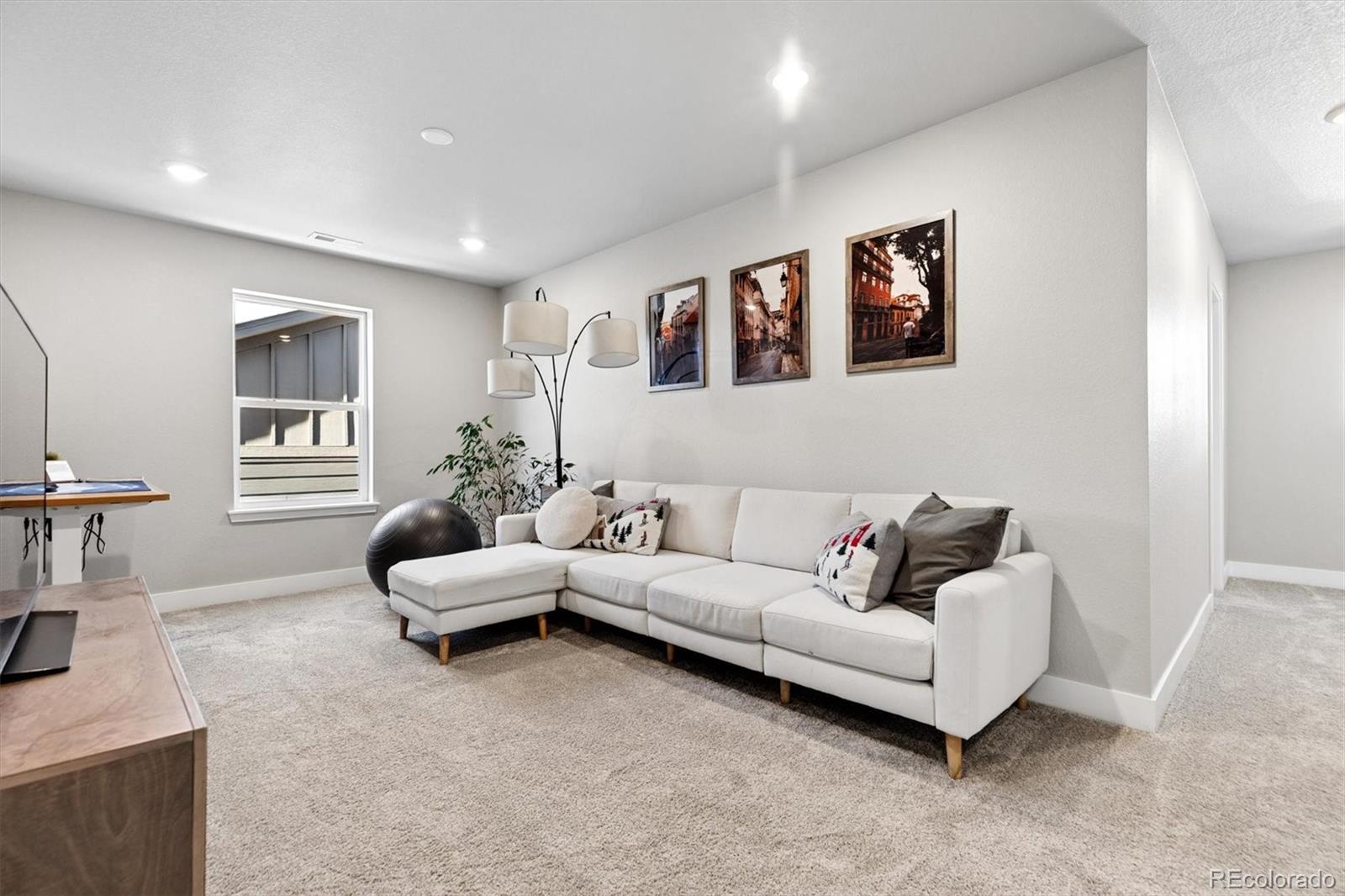 MLS Image #19 for 9750  banner peak street,littleton, Colorado