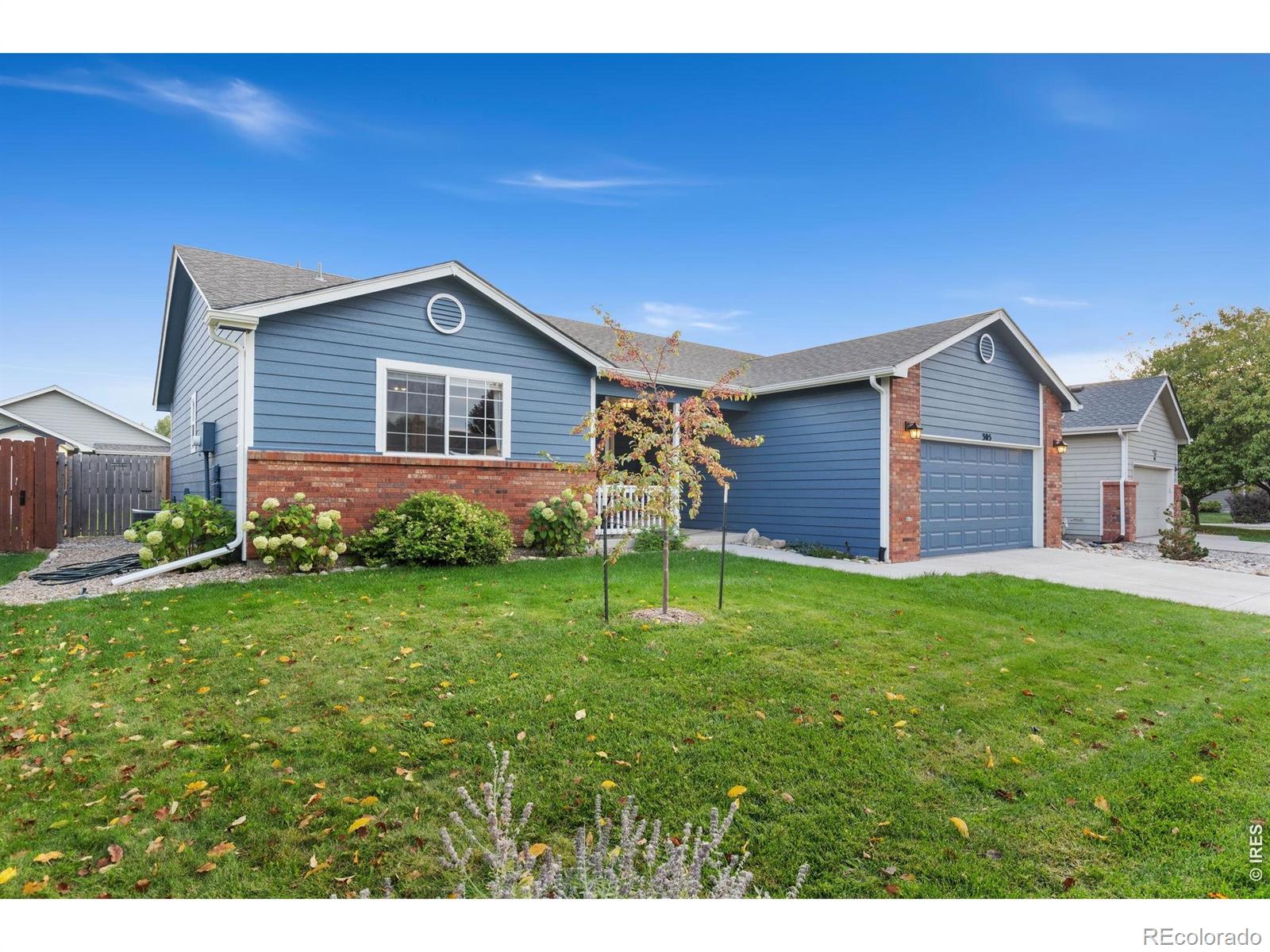 MLS Image #4 for 305  amber drive,windsor, Colorado