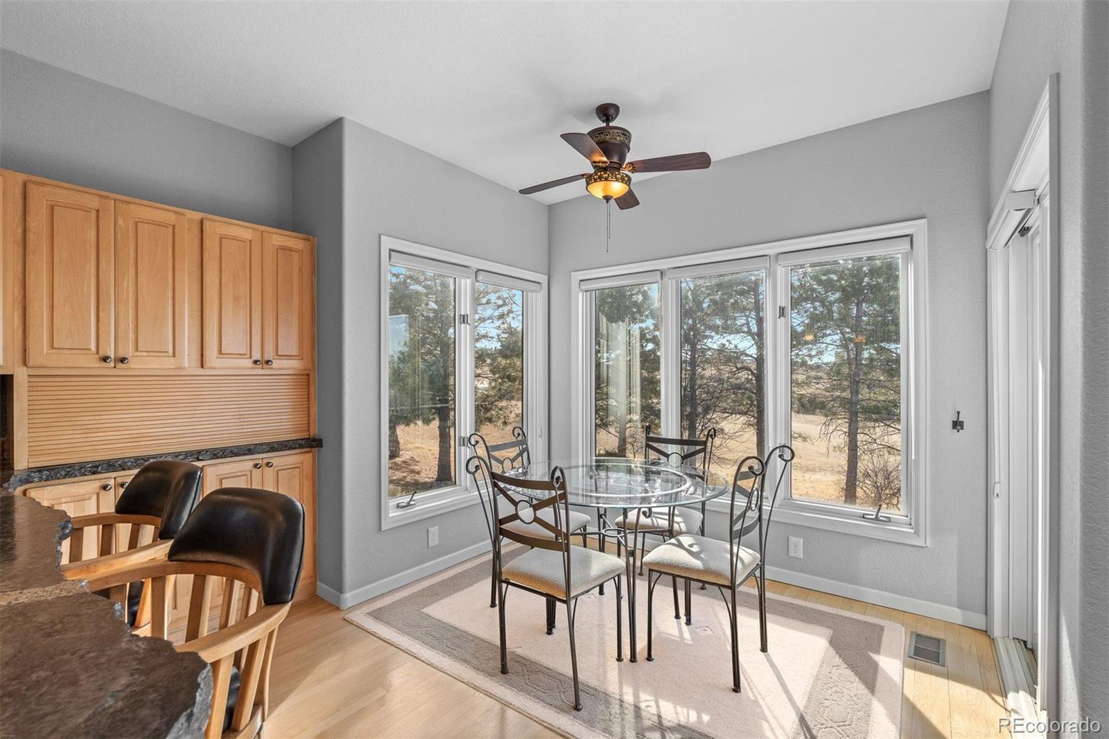 MLS Image #18 for 7539  stroh road,parker, Colorado