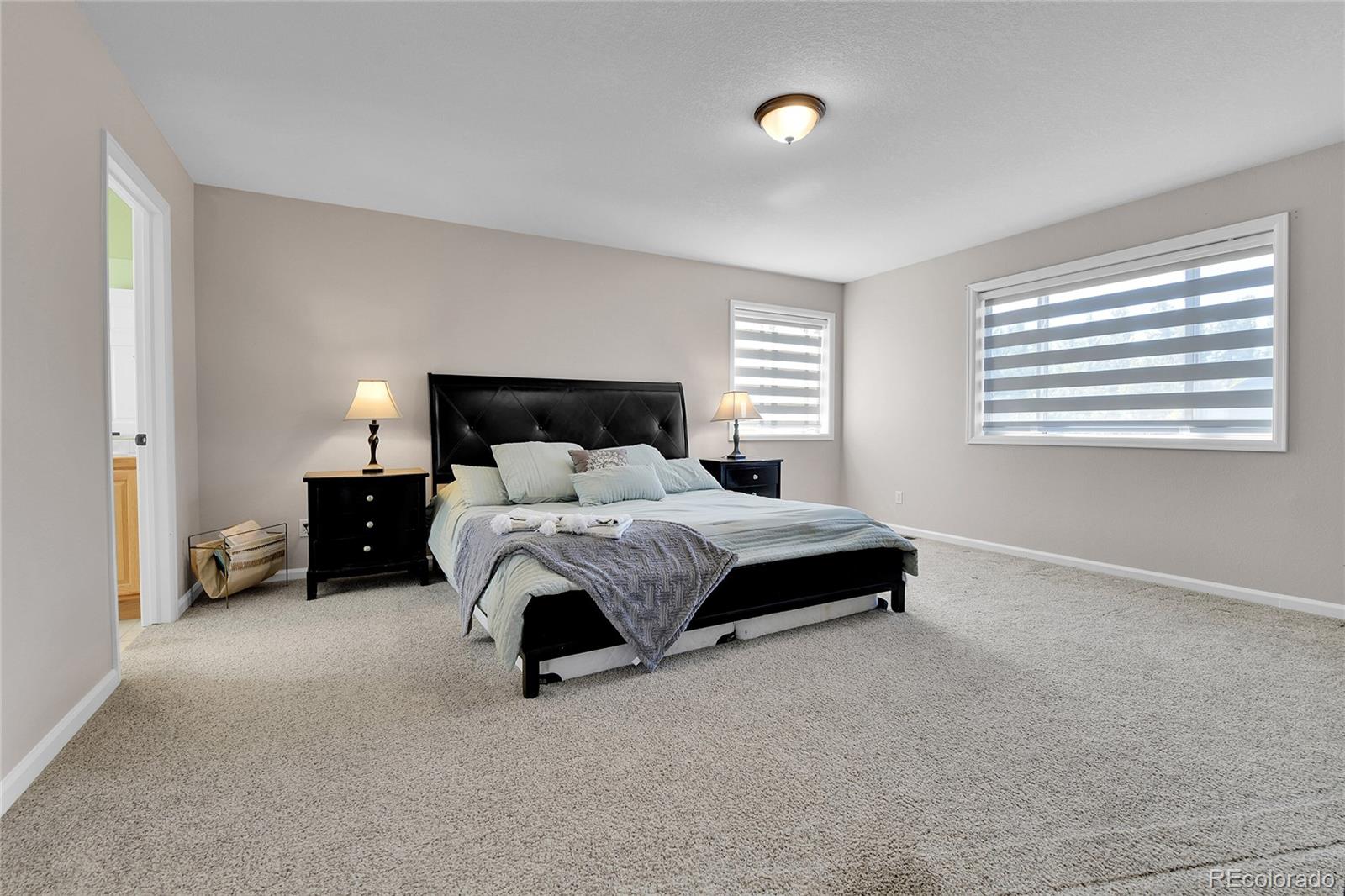 MLS Image #14 for 125  el lobo lane,bailey, Colorado