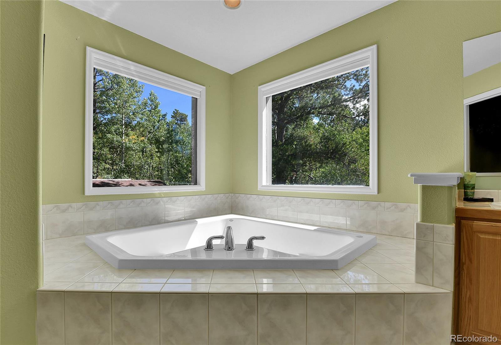 MLS Image #16 for 125  el lobo lane,bailey, Colorado