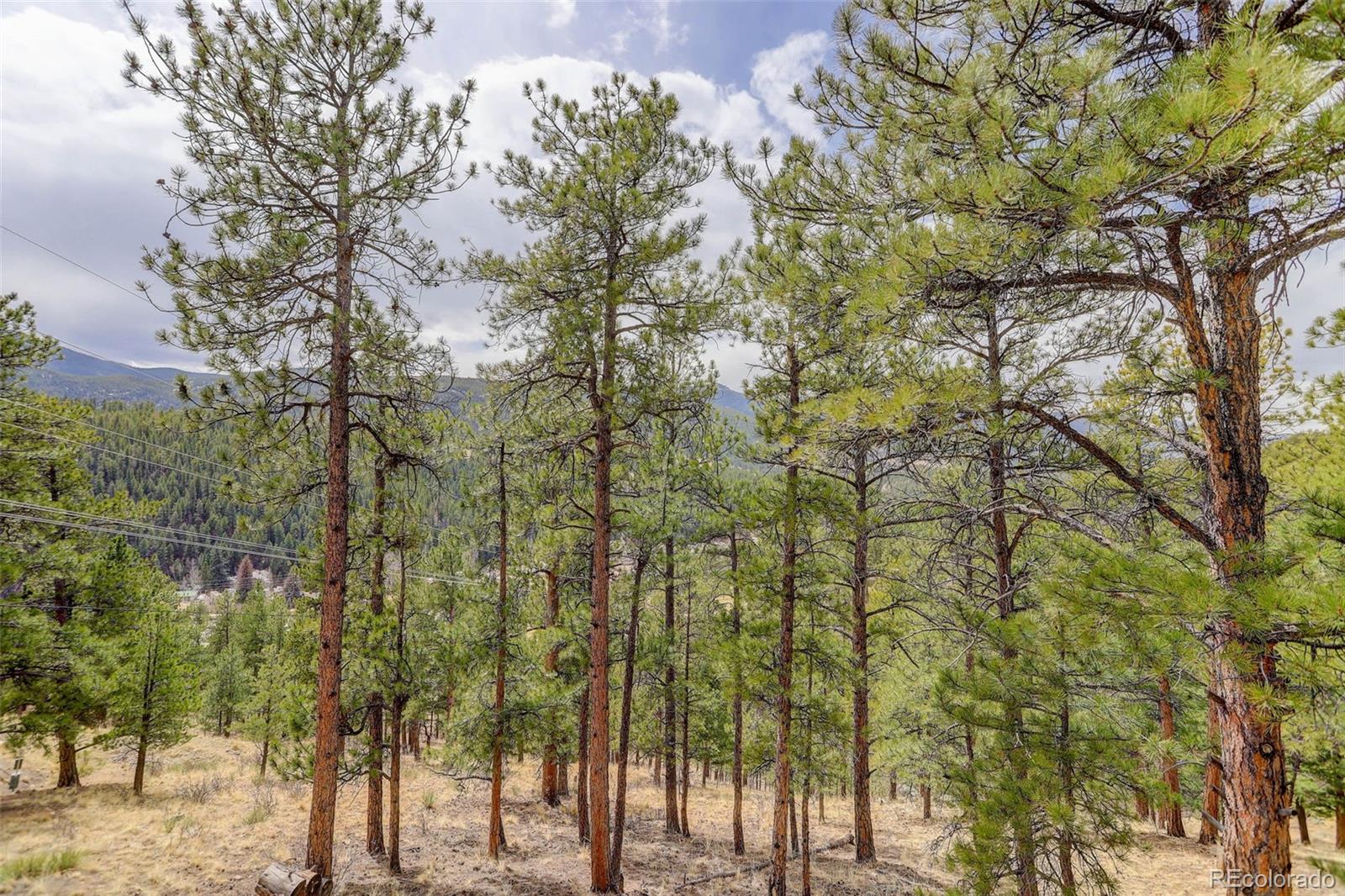 MLS Image #20 for    ,, Colorado
