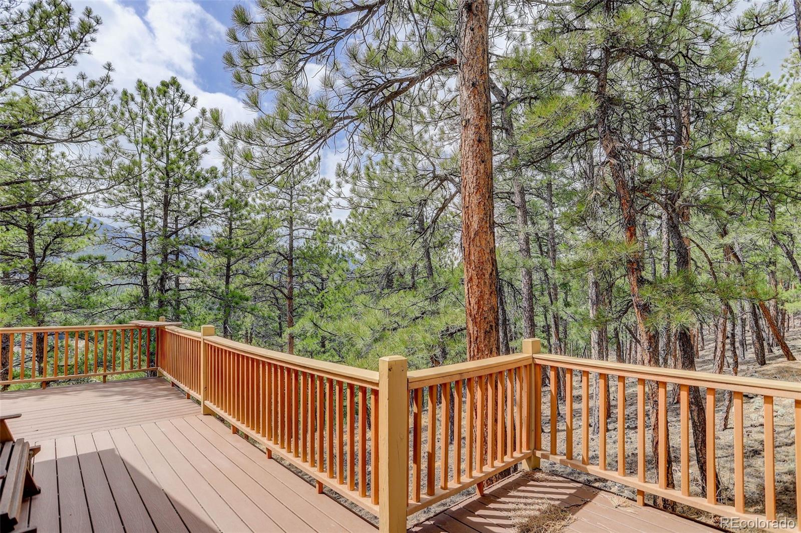 MLS Image #5 for    ,, Colorado