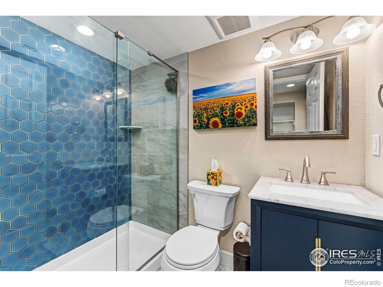 MLS Image #26 for 19  dale place,longmont, Colorado